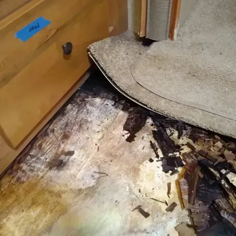 Wood Floor Water Damage in Duncan, OK